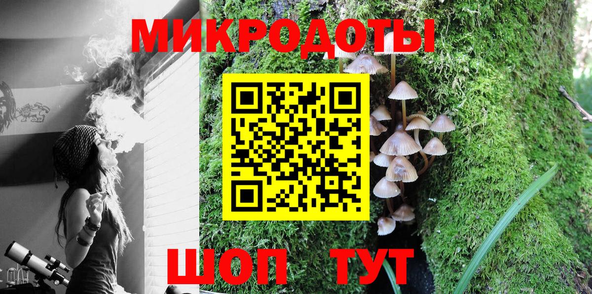 Красноуфимск  Псилоцибиновые грибы Psilocybe  Вход с VPN 